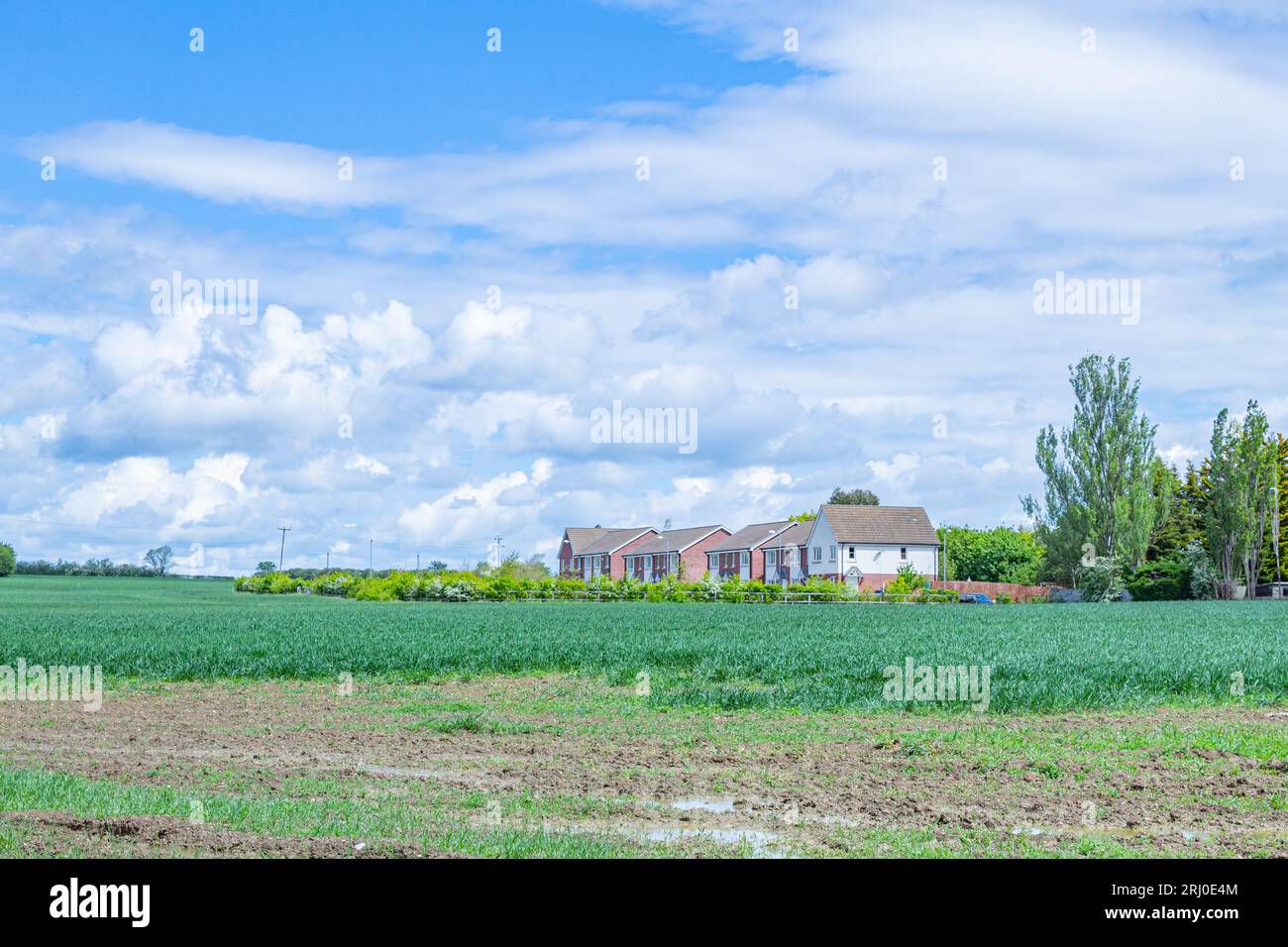 Field in Comberton, Cambridgeshire, where 200 retirement homes are set