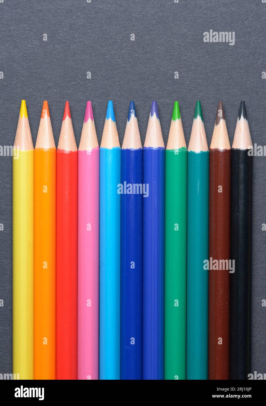 Collection set of colored pencils crayons orderly aligned in a row, art