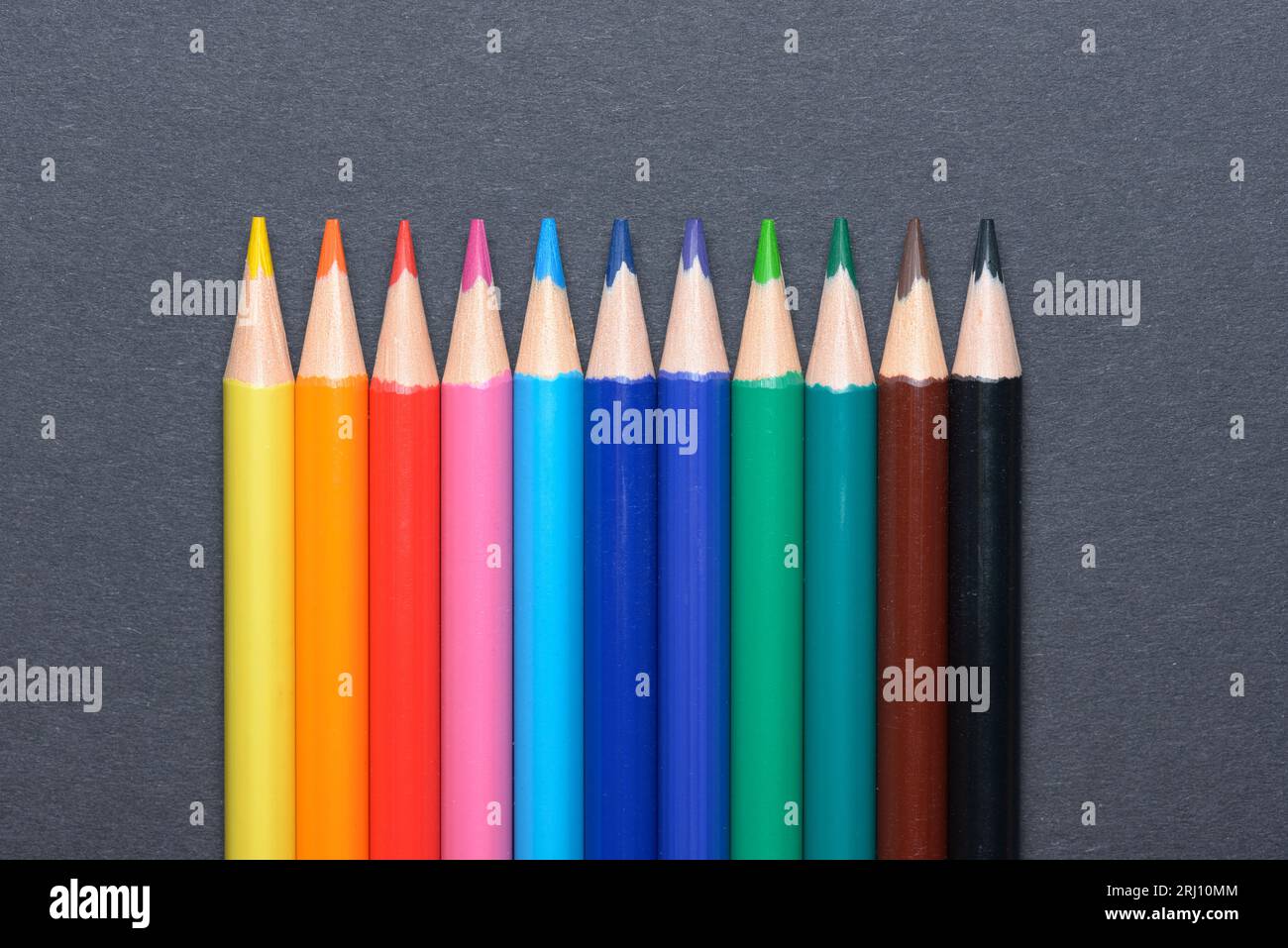 Collection set of colored pencils crayons orderly aligned in a row, art