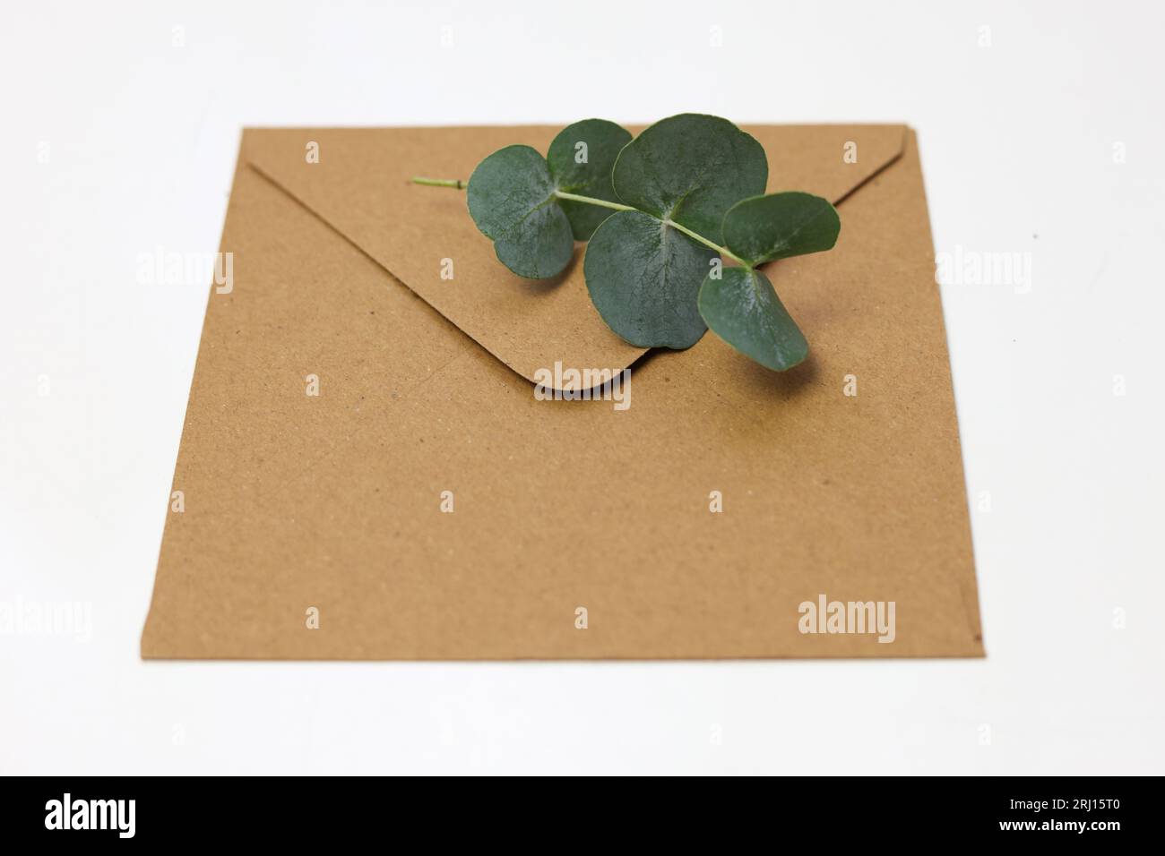 a brown envelope with a blank note card and green leaves on a white backgroun Stock Photo