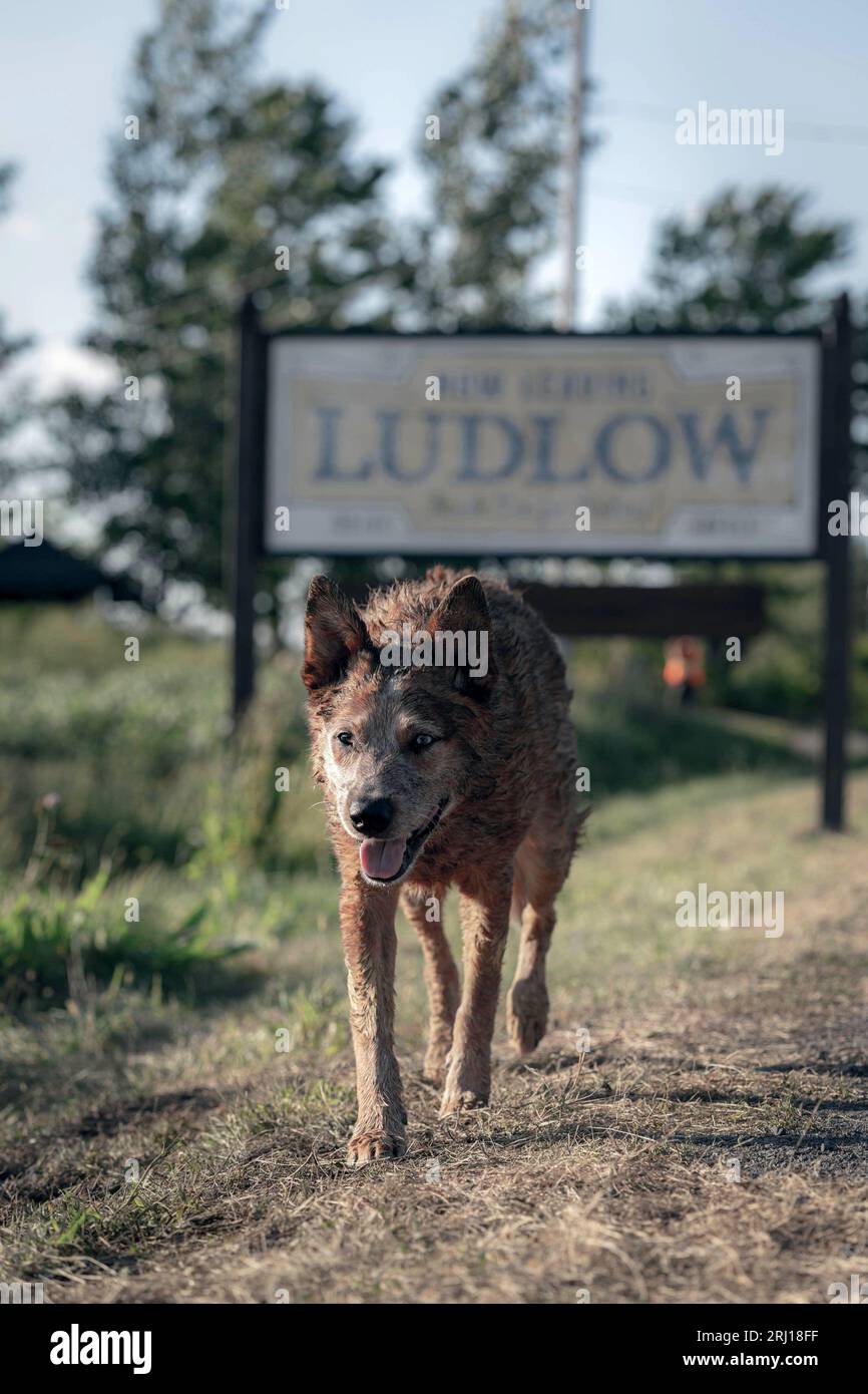 PET SEMATARY: BLOODLINES (2023), directed by LINDSEY BEER. Credit: PARAMOUNT PICTURES / Album Stock Photo