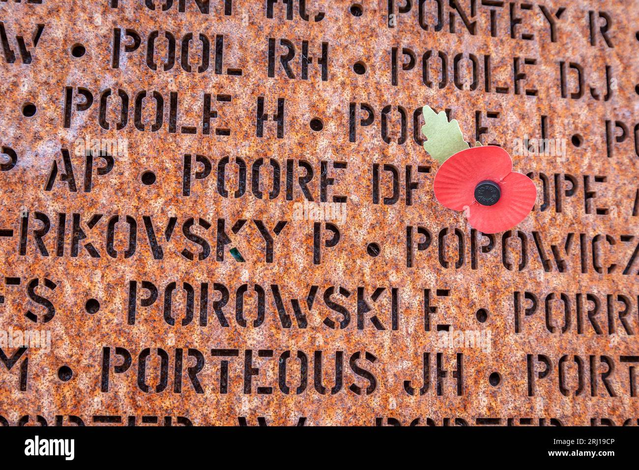 Poppy on Memorial Wall, IBCC, Lincoln, Lincolnshire, England, UK Stock Photo