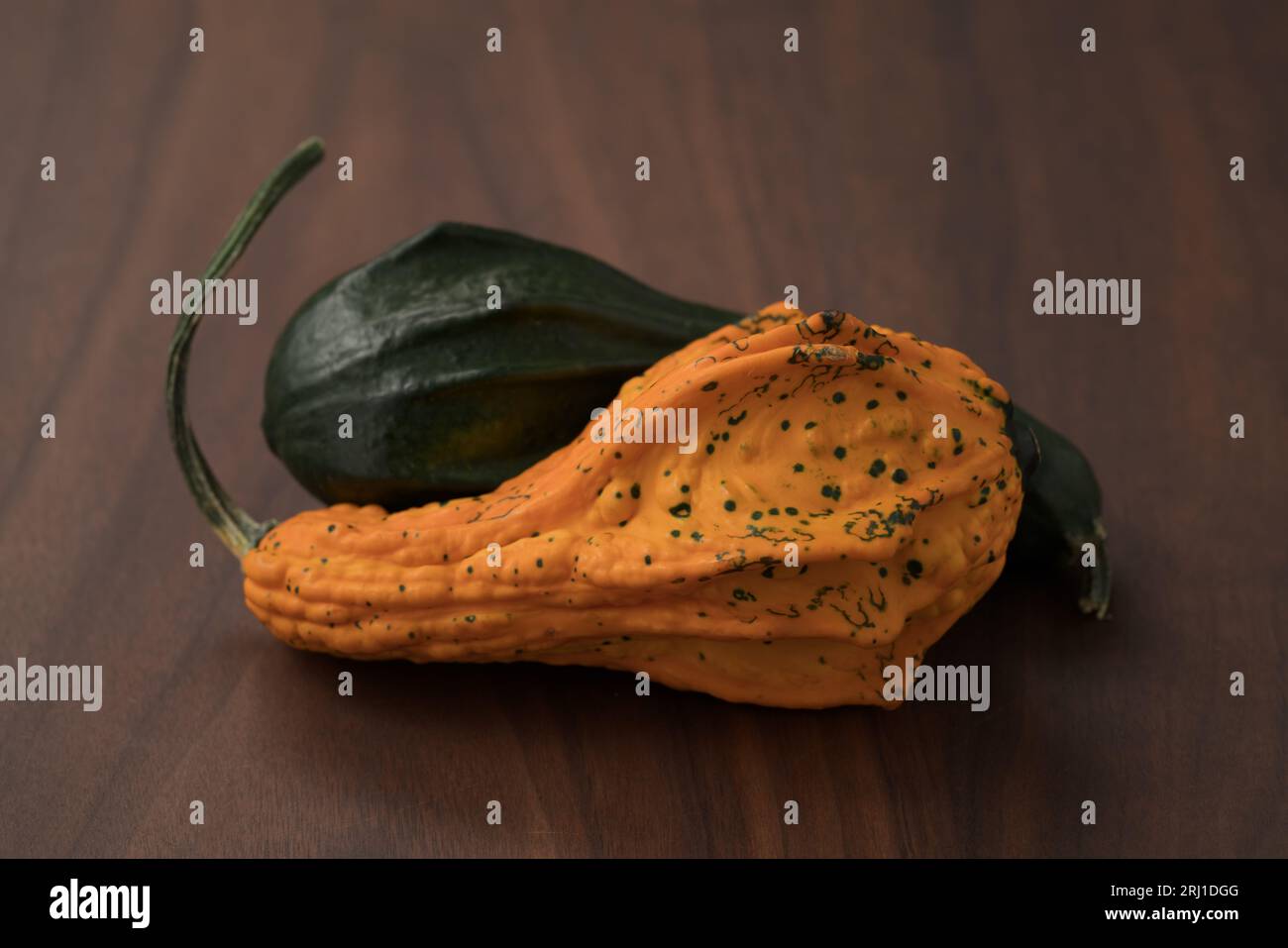 decorative pumpkins on walnut wood table, shallow focus Stock Photo - Alamy