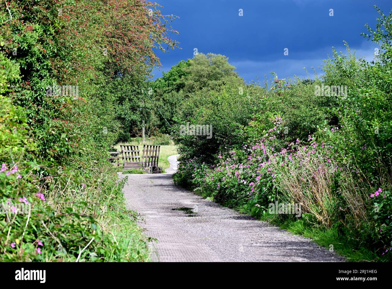 Around the UK - Along a country lane on the outskirts of Chorley. Stock Photo