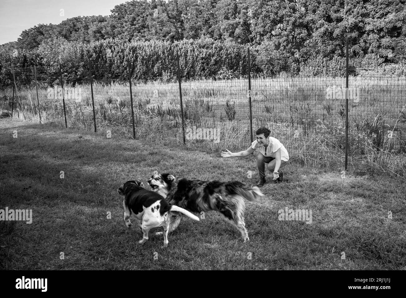 Italy, Cuggiono, Betty while playing with her dogs in the garden. Stock Photo