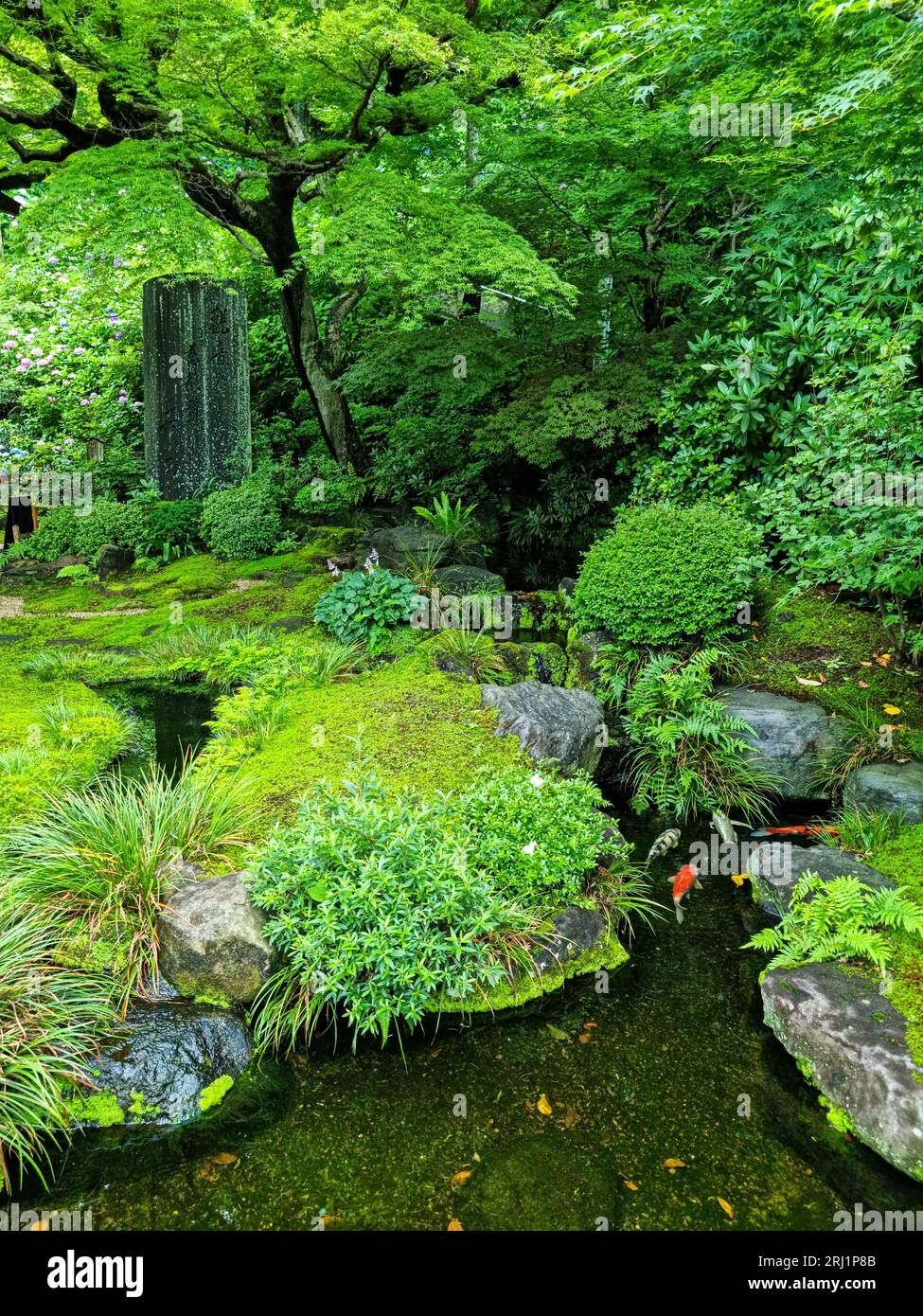 Scenic sight in the beautiful Hase-dera Temple in Kamakura. Kanagawa, Japan. Stock Photo