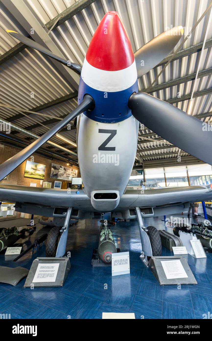 RAF Spitfire XVI on display inside the Spitfire and Hurricane memorial museum at the ex-RAF Manston airfield in Kent. Front view from under the nose. Stock Photo