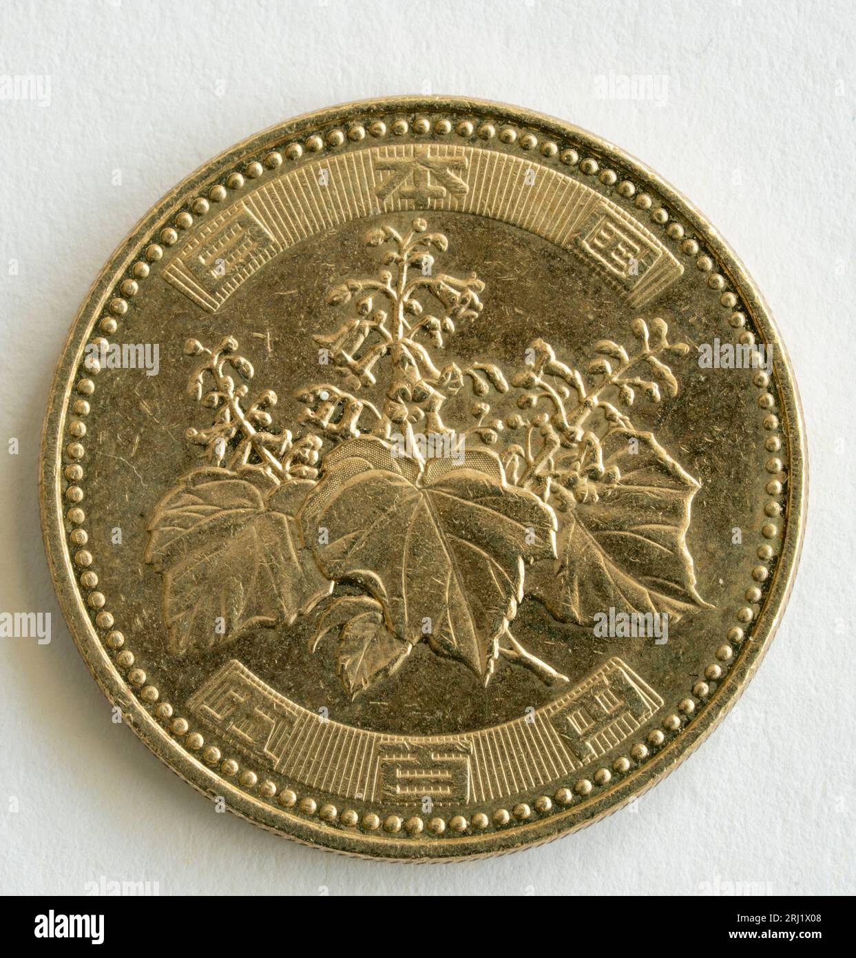 Japanese special 500 yen coin minted for the Showa Emperor, Hirohito. Features a paulownia plant with authority above and the value in Kanji below. Stock Photo
