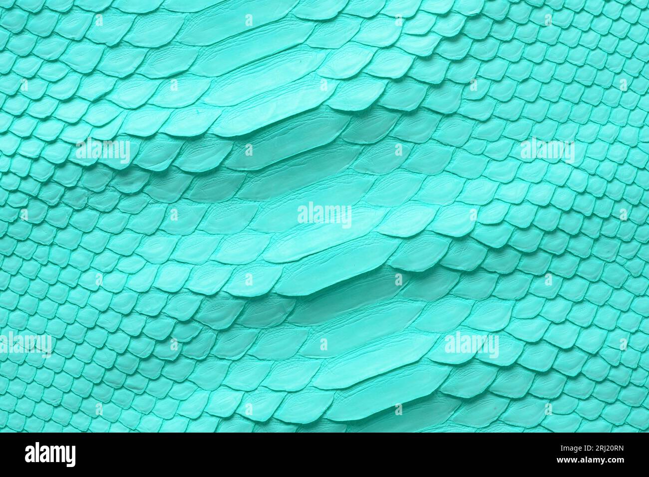 light green snake skin texture, turquoise leather background Stock ...