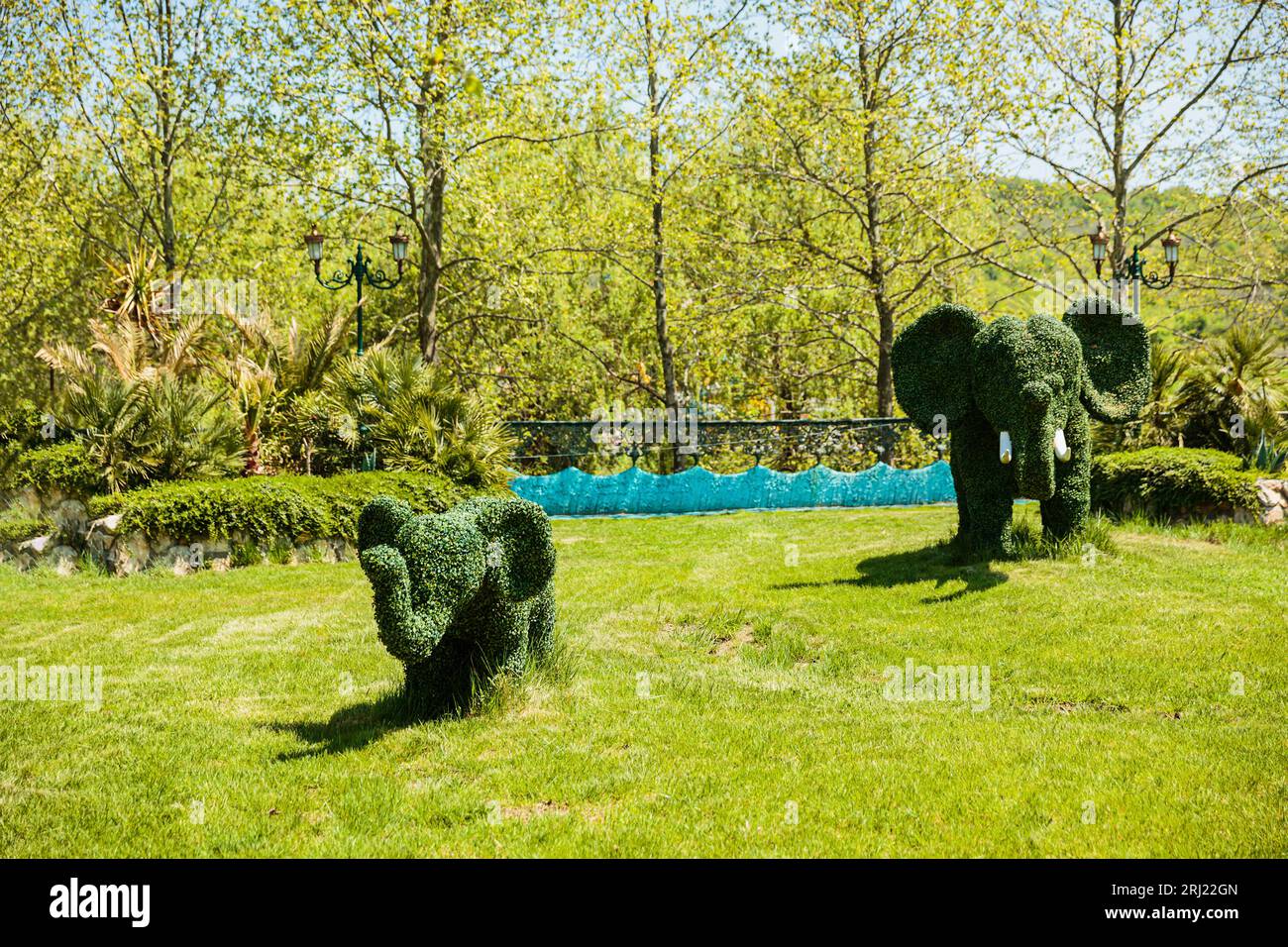 The figures of the topiary in form of elephants Stock Photo