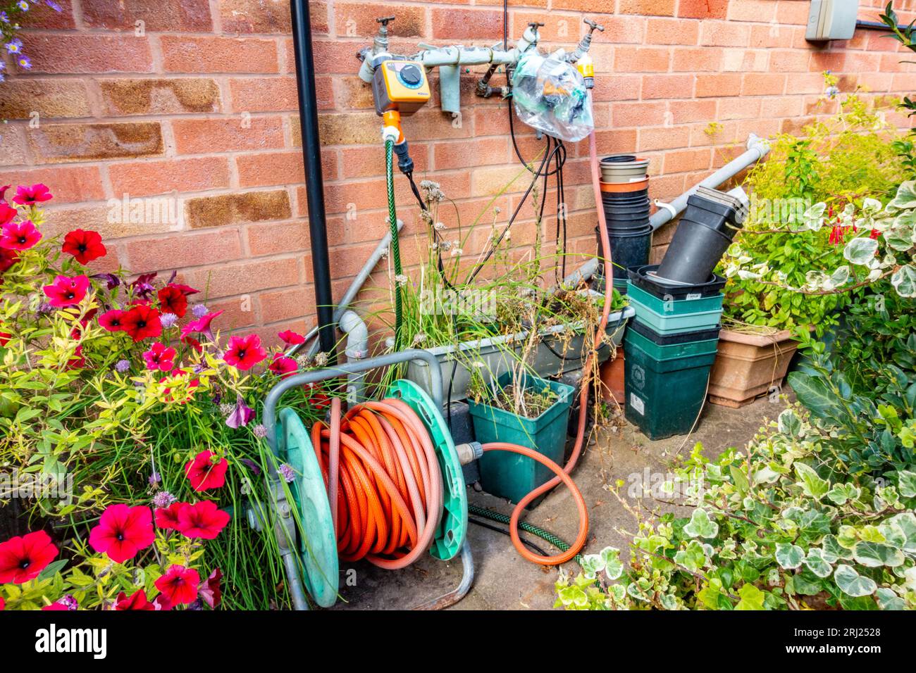 A hosepipe connected to a garden tap via a water computer Stock Photo