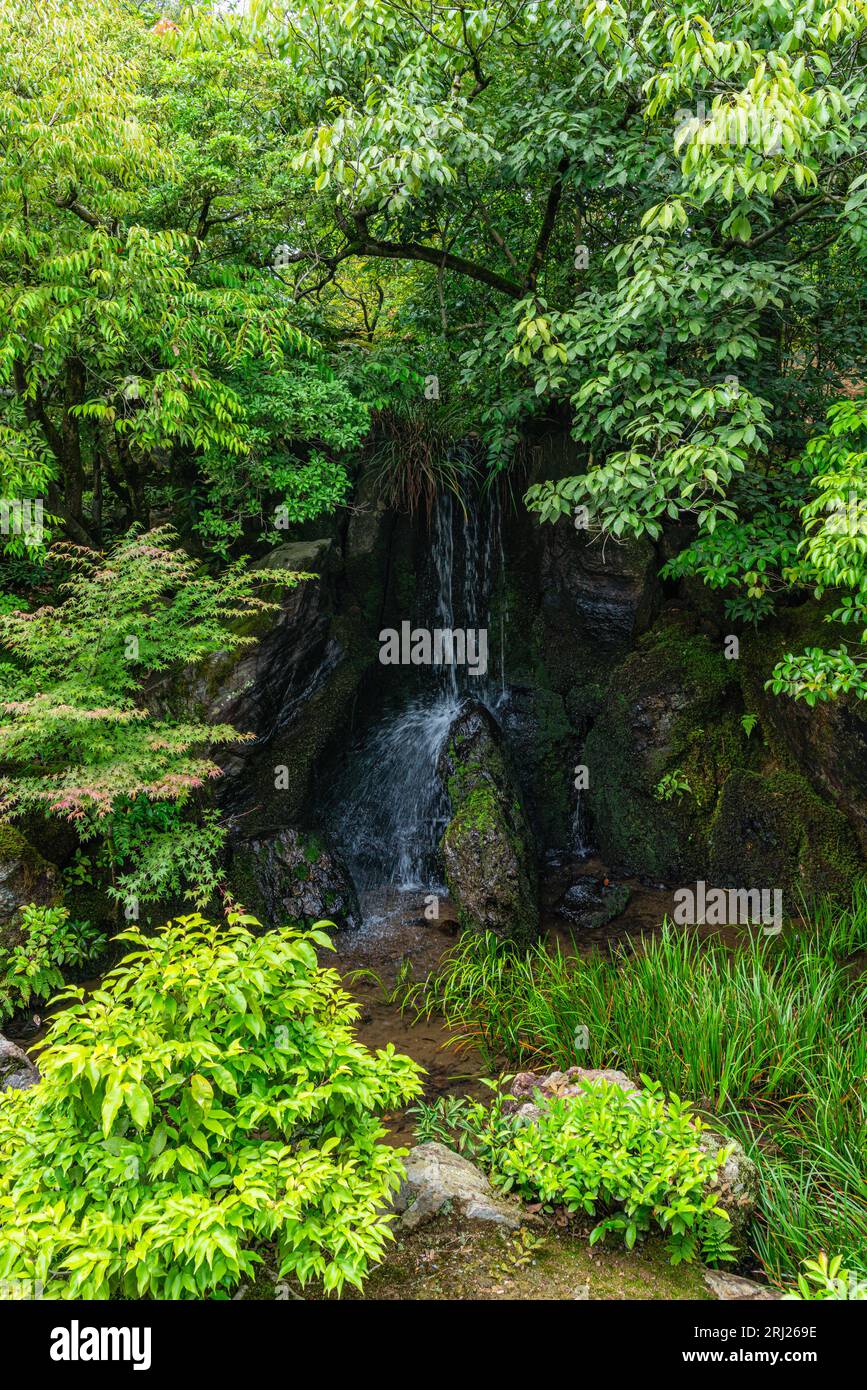 Scenic sight in the famous Kinkaku-ji Temple in Kyoto. Japan. Stock Photo