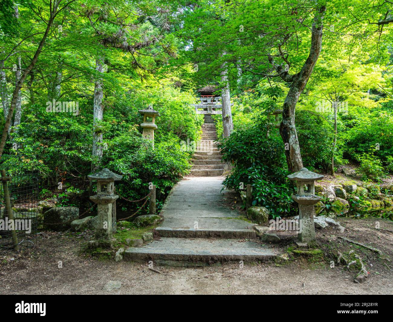 Scenic sight in Momijidani Park in Miyajima (Itsukushima), Hiroshima, Japan. Stock Photo