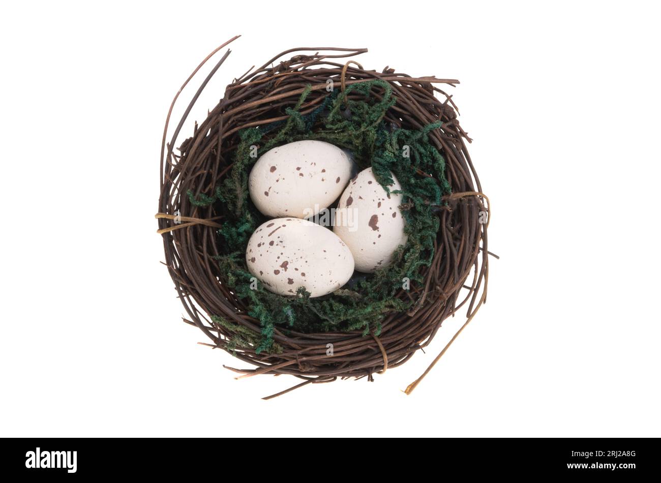 bird's nest with eggs isolated on white background Stock Photo - Alamy