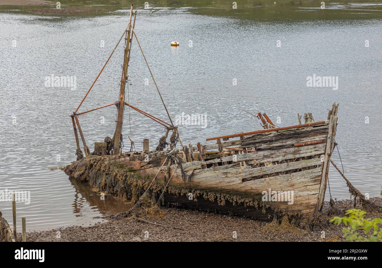 Broken wooden fishing boat washed up on the shoreline of a sea loch ...