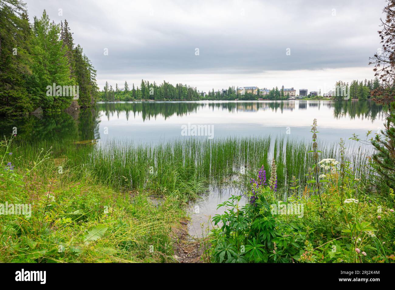 Tranquil lake scene with trees hi-res stock photography and images - Alamy