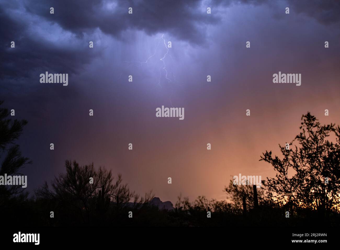 Sunset lightning illuminates clouds from within the monsoon storm Stock Photo
