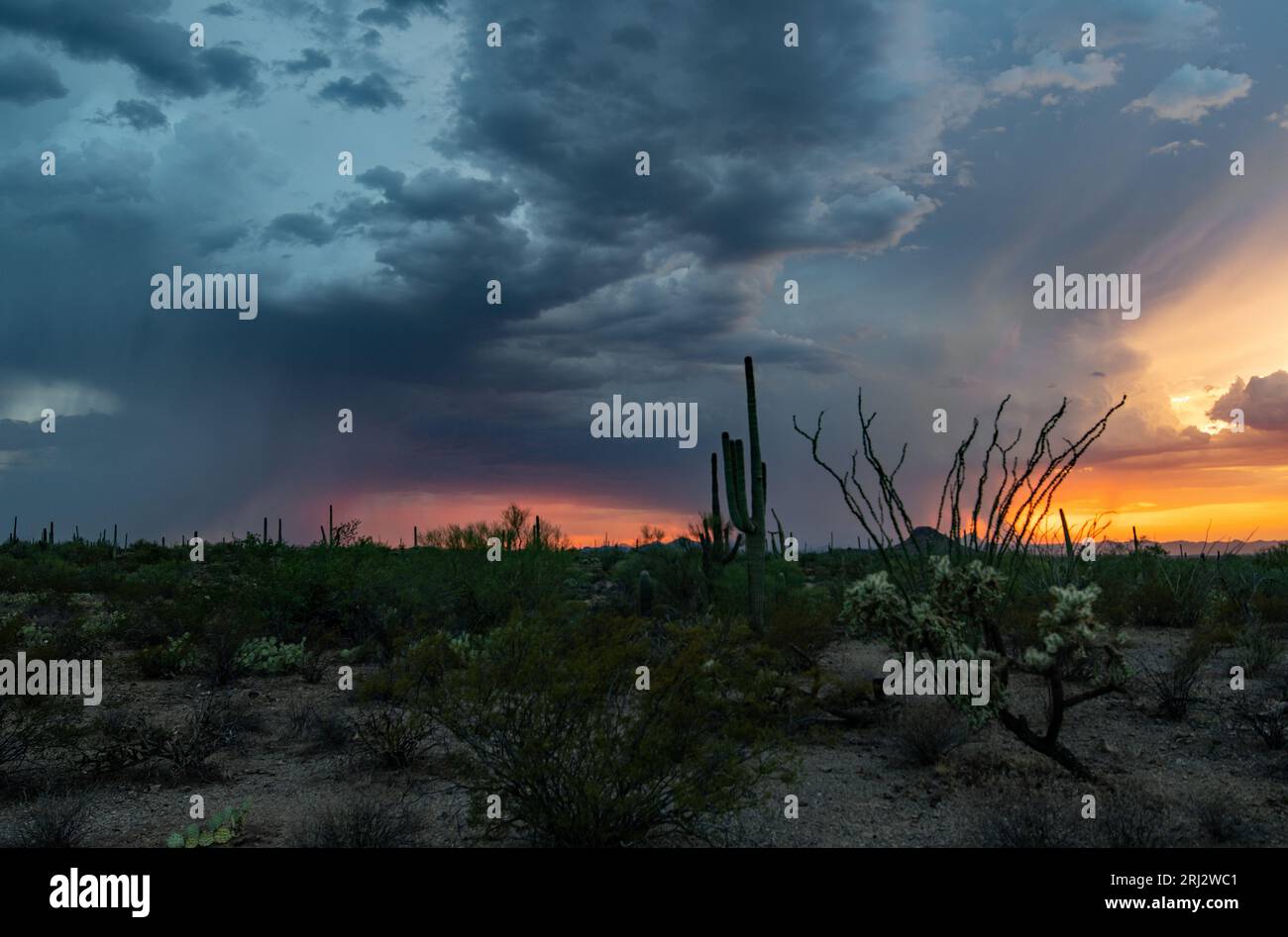 A monsoon storm at sunset in the sonoran desert Stock Photo