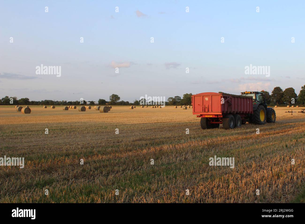 Tractor and trailer working on farm land on a summers evening Near Selby North Yorkshire In UK Stock Photo