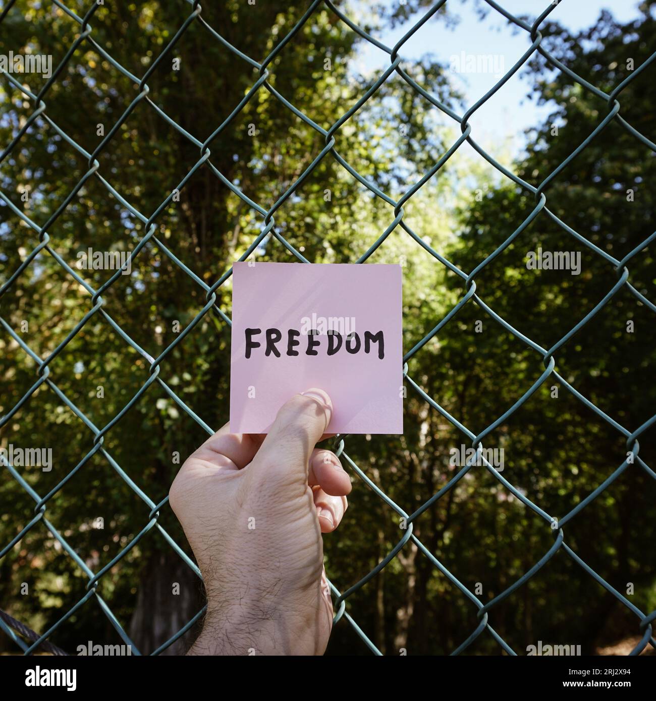 hand holding a paper with the word freedom Stock Photo - Alamy