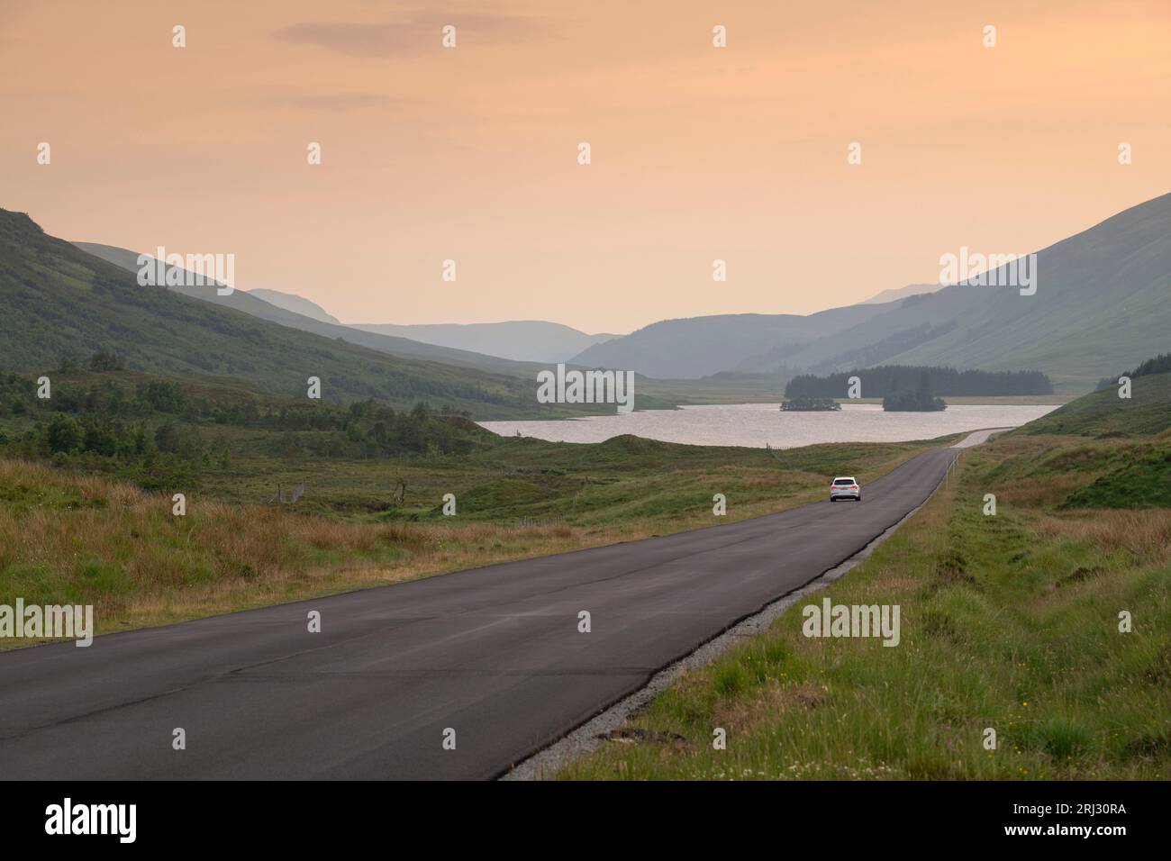 Scaven hi-res stock photography and images - Alamy Scaven hi-res stock photography and images - Alamy