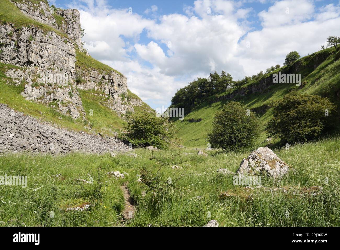 Upper Lathkill Dale in the Derbyshire Peak District National Park England UK, English British countryside Dry limestone valley sedimentary rock Stock Photo