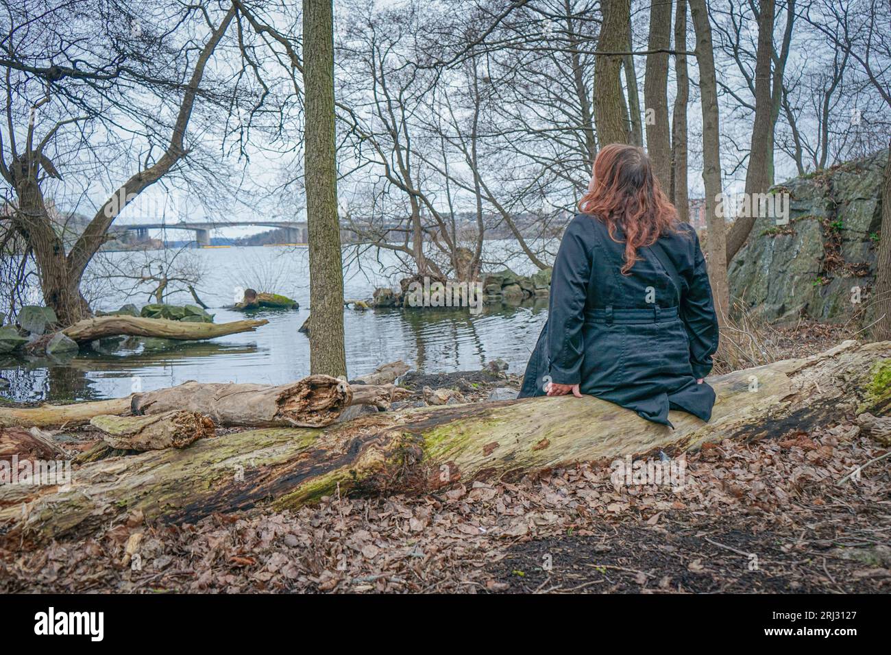 Blonde woman rear view with coat hi-res stock photography and images ...