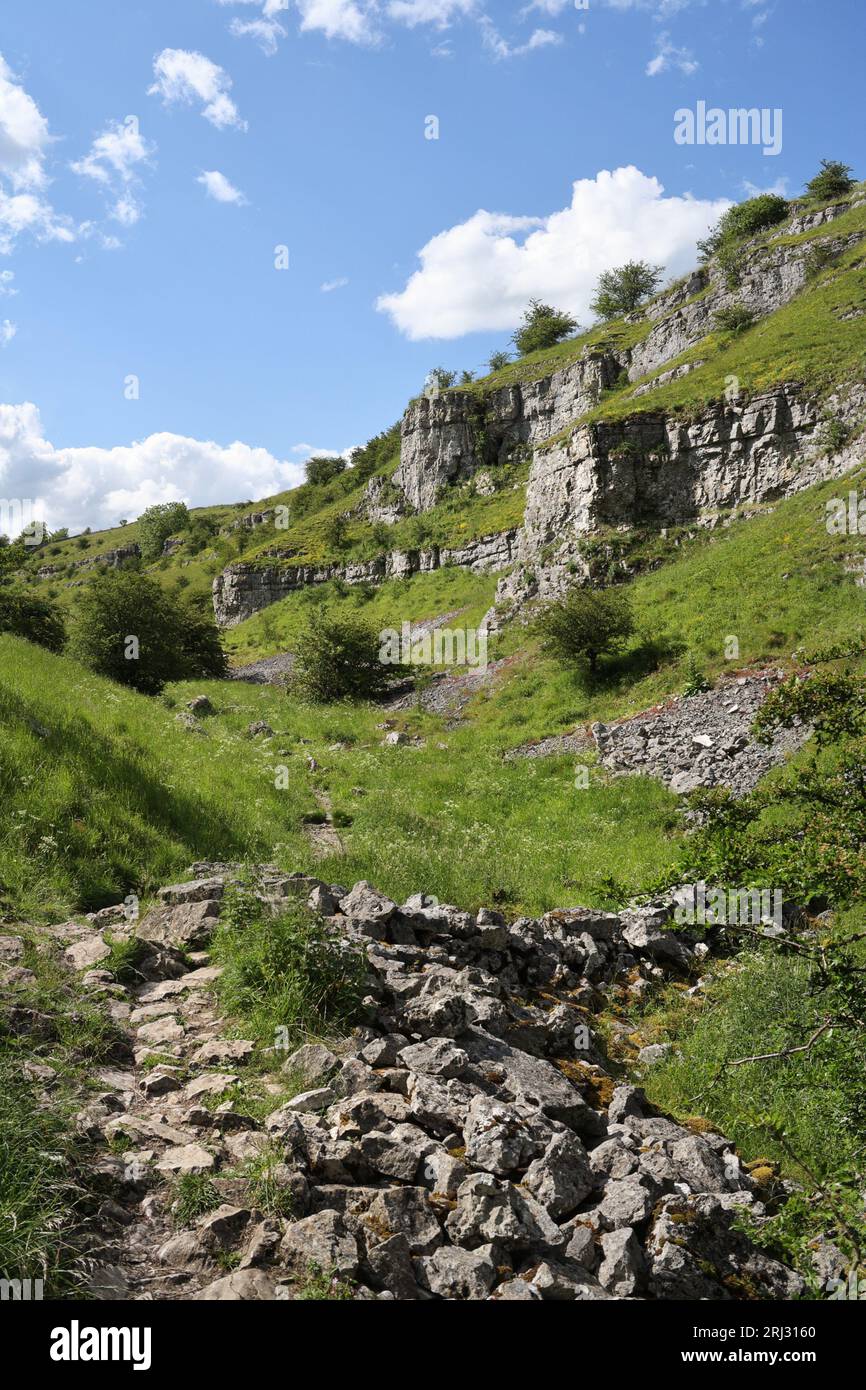 Lathkill Dale in the Derbyshire Peak District National Park England UK, Dry limestone valley sedimentary rock geology Stock Photo