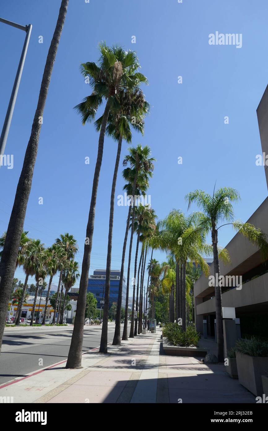 What burbank building was discount johnny carson filmed in