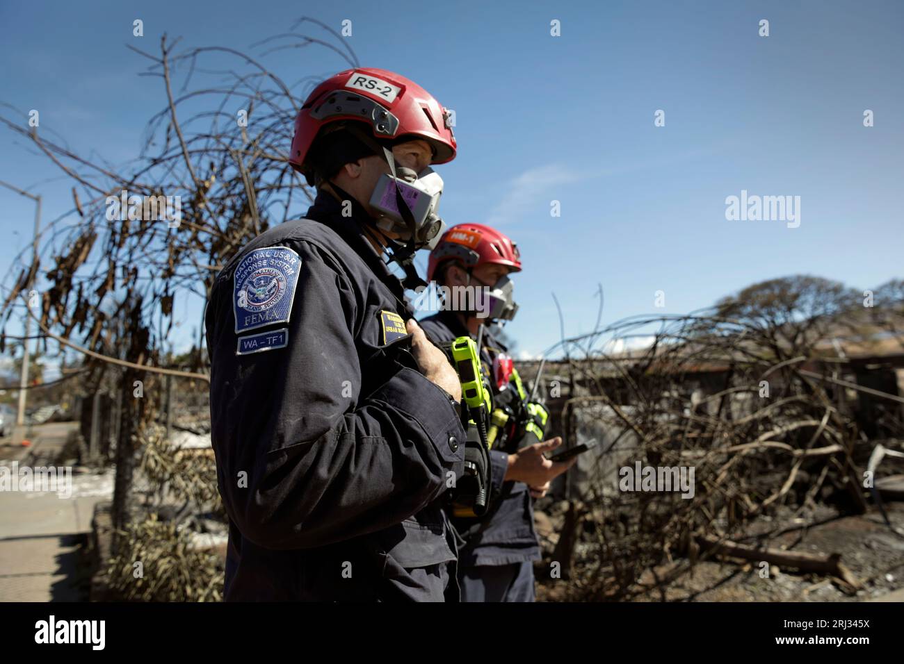 Members of the Federal Emergency Management Agency’s Urban Search and Rescue Team look over a neighborhood destroyed by a wildfire in Lahaina, Hawaii, August 17, 2023. CBP photo by Glenn Fawcett Stock Photo