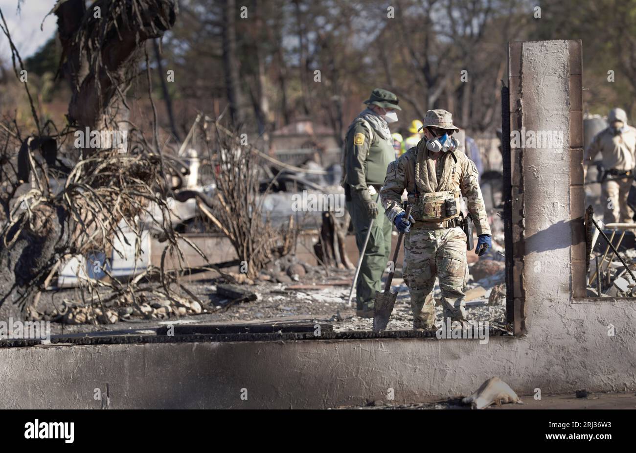 A U.S. Border Patrol agent combs through a neighborhood destroyed by a wildfire in Lahaina, Hawaii, August 17, 2023. CBP photo by Glenn Fawcett Stock Photo