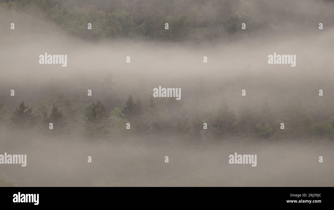 Aerial misty forest hi-res stock photography and images - Alamy