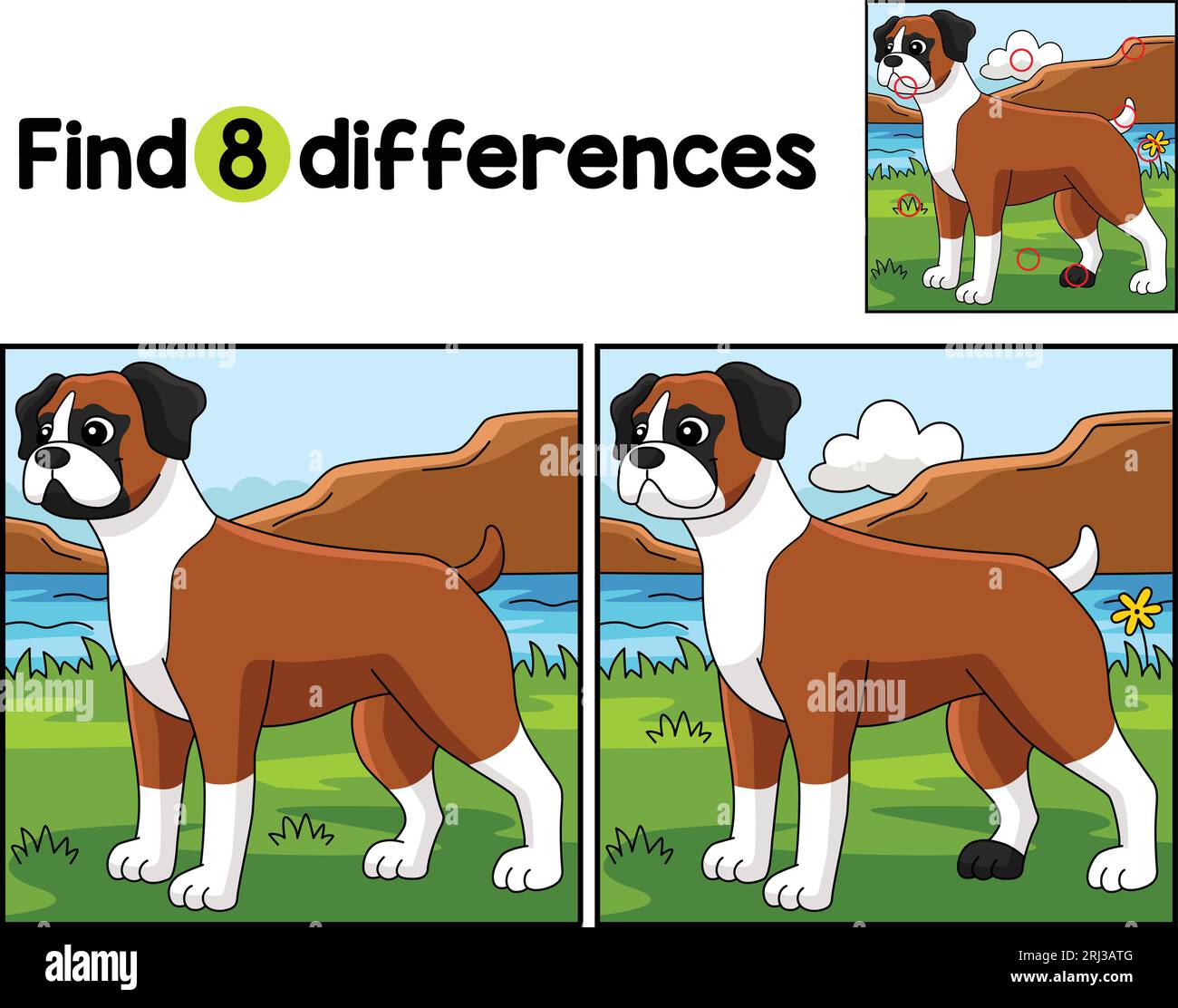 Boxer Dog Find The Differences  Stock Vector