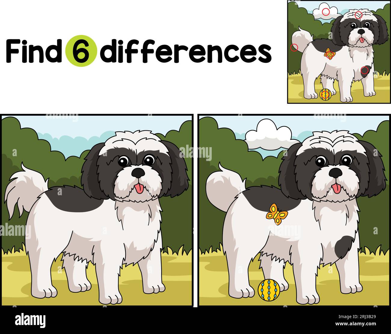 Shih Tzu Dog Find The Differences  Stock Vector