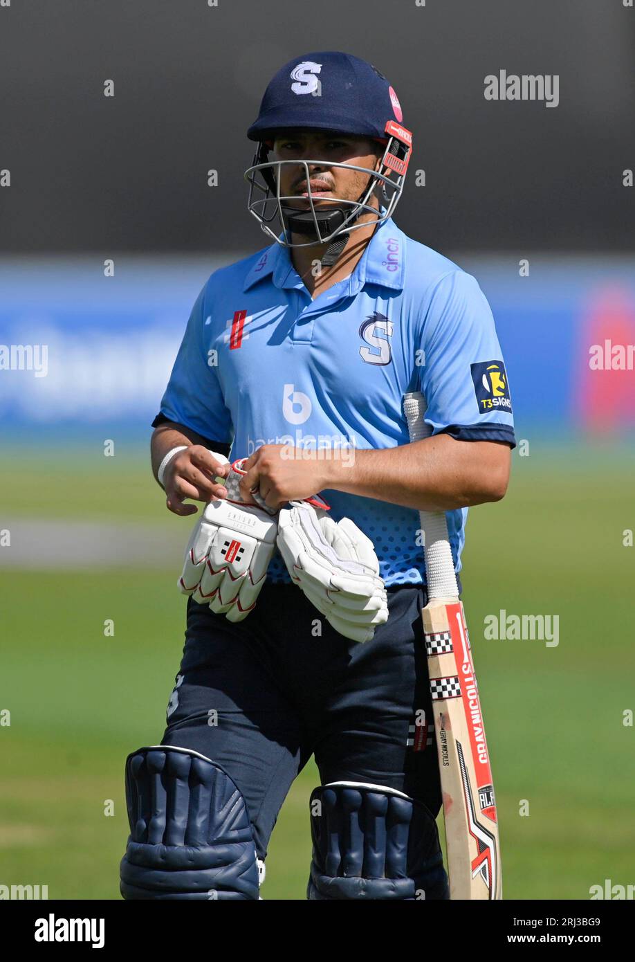 Ricardo vasconcelos cricket hi-res stock photography and images - Alamy