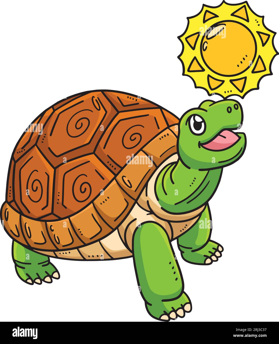 FREE! - Giant Tortoise Art Colouring Sheet - Teaching Resources
