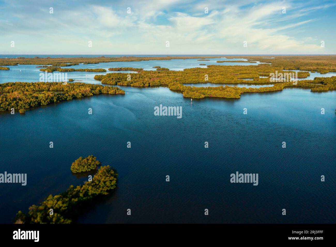 Aerial view of the Ten Thousand Islands in Southwest Florida Stock