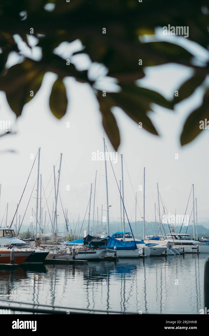 A scenic view of several boats docked in a harbor, with lush trees and ...