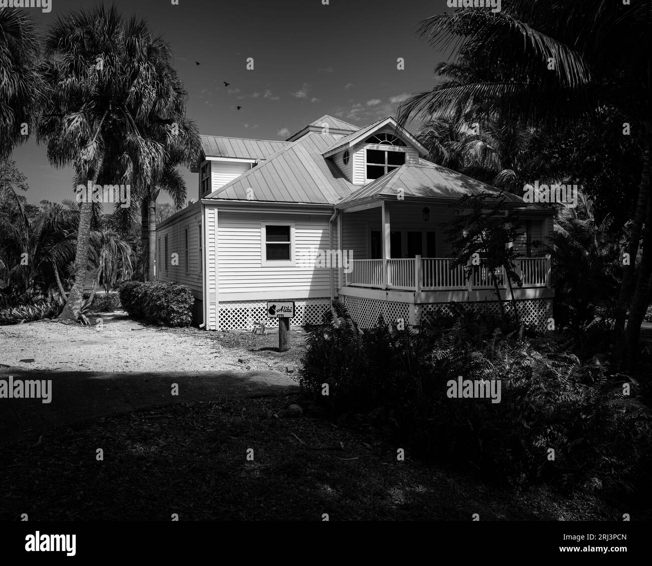 A monochrome image of a house situated in a tropical environment with shadows of a nearby palm tree visible in the background Stock Photo