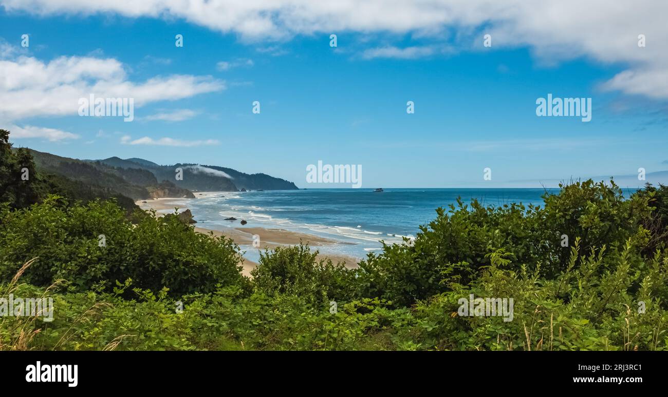 Oregon West coast, United States top view. Ocean landscape at ...