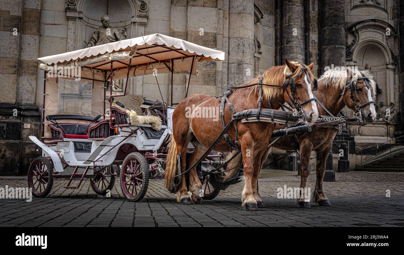Horse drawn carriage dresden hi-res stock photography and images - Alamy