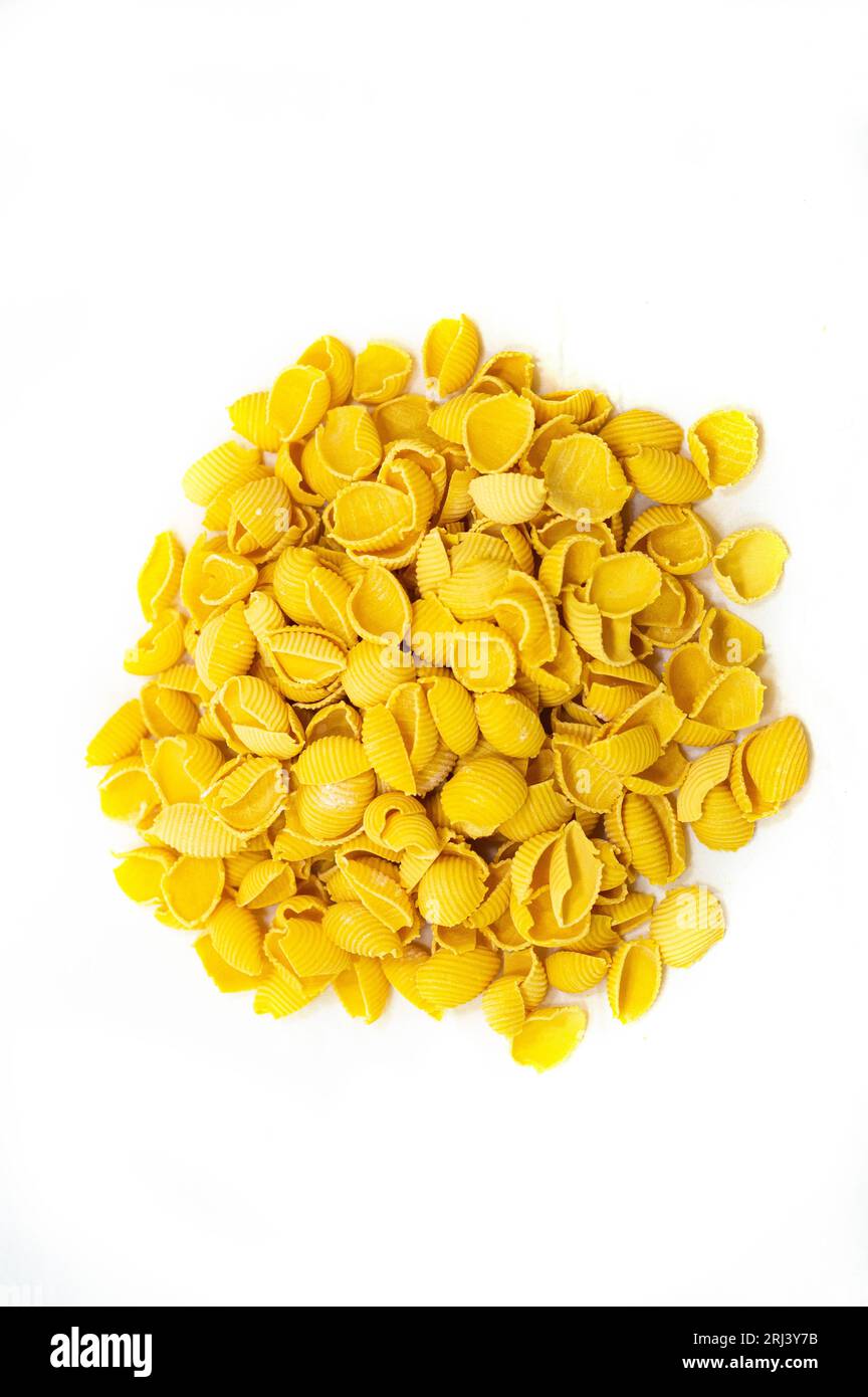 One Pasta Shell A close-up Raw Shell Shaped Pasta with a white background Stock Photo ...