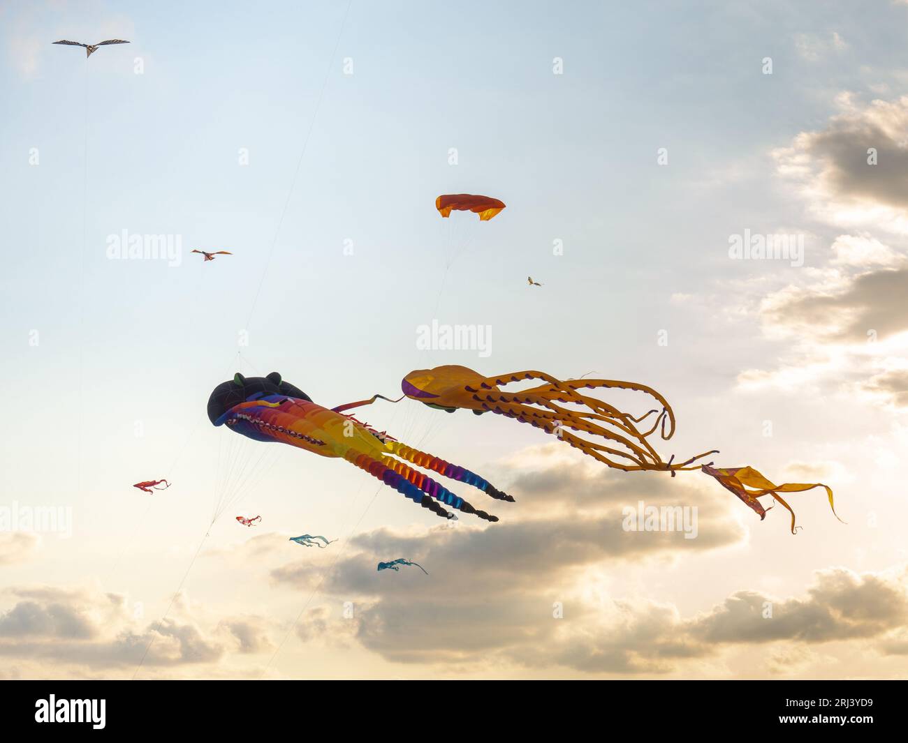 Kite Festival. Kites in the sky. A spectacle in the sky. Wind is like a force. air objects. Various forms. A beautiful sight. Air Stock Photo