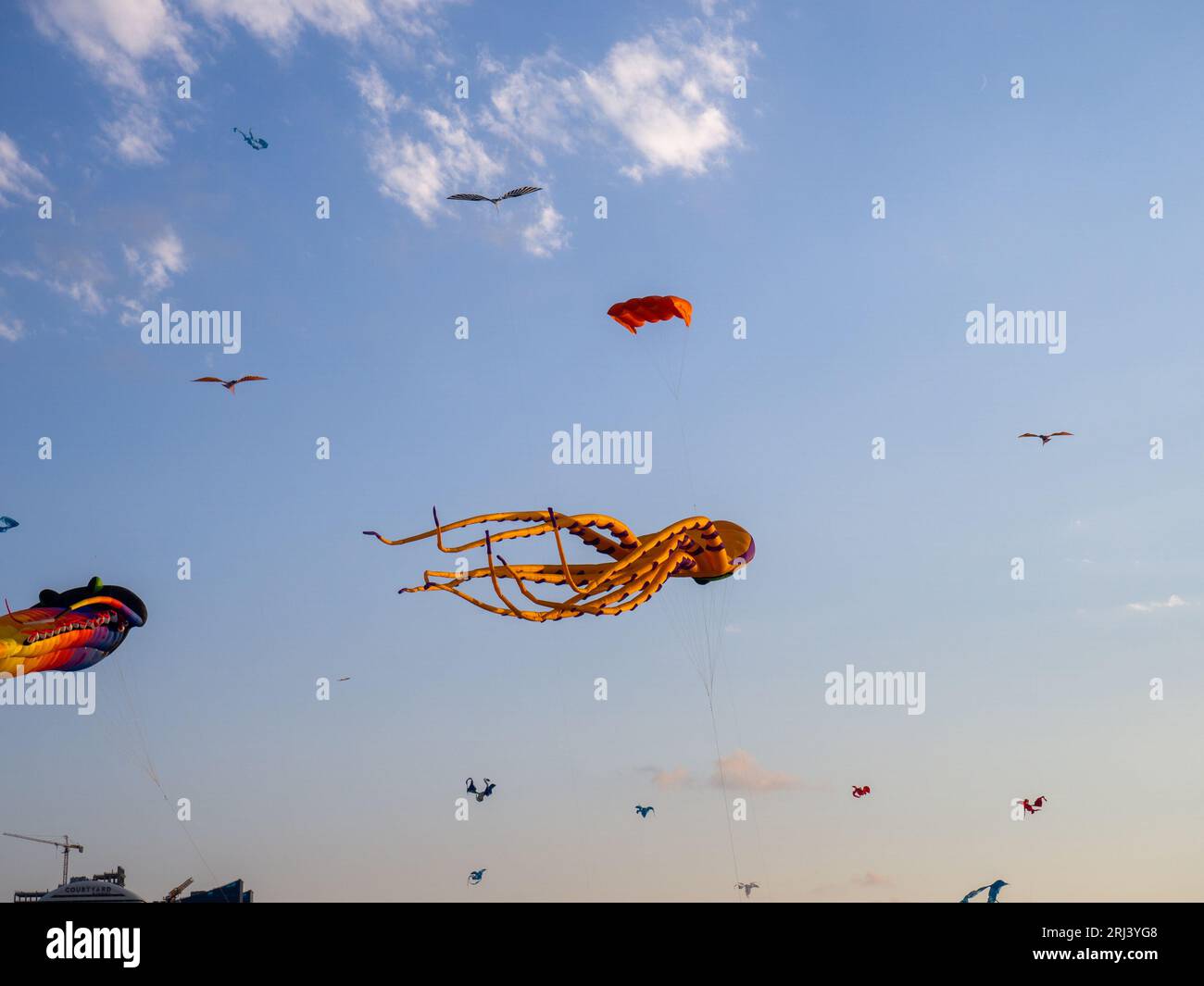 Kite Festival. Kites in the sky. A spectacle in the sky. Wind is like a force. air objects. Various forms. A beautiful sight. Air.  octopus Stock Photo