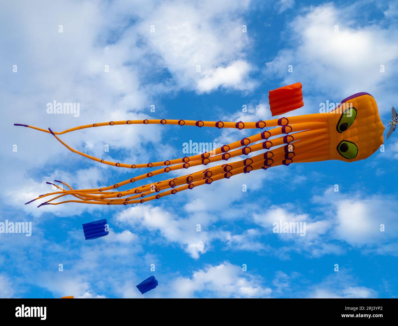 Kite Festival. Kites in the sky. A spectacle in the sky. Wind is like a force. air objects. Various forms. A beautiful sight. Air.  octopus Stock Photo