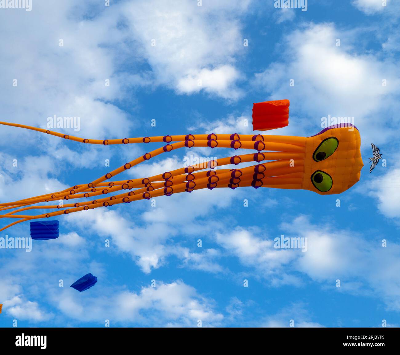 Kite Festival. Kites in the sky. A spectacle in the sky. Wind is like a force. air objects. Various forms. A beautiful sight. Air.  octopus Stock Photo