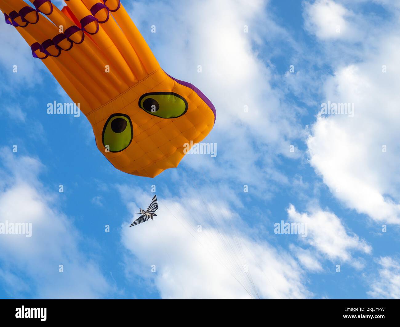 Kite Festival. Kites in the sky. A spectacle in the sky. Wind is like a force. air objects. Various forms. A beautiful sight. Air.  octopus Stock Photo