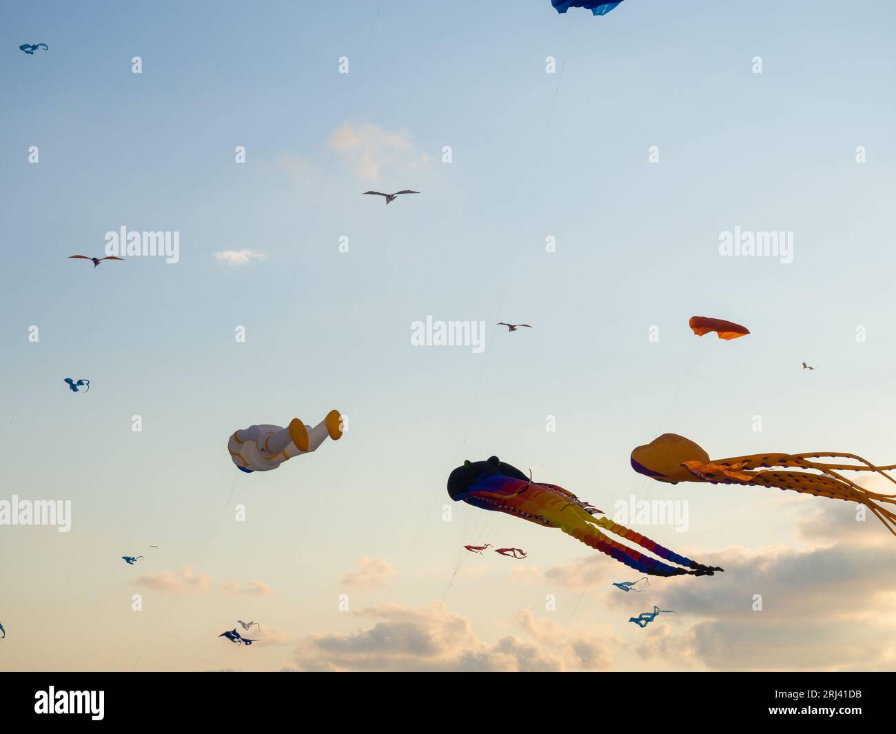Kite Festival. Kites in the sky. A spectacle in the sky. Wind is like a force. air objects. Various forms. A beautiful sight. Stock Photo