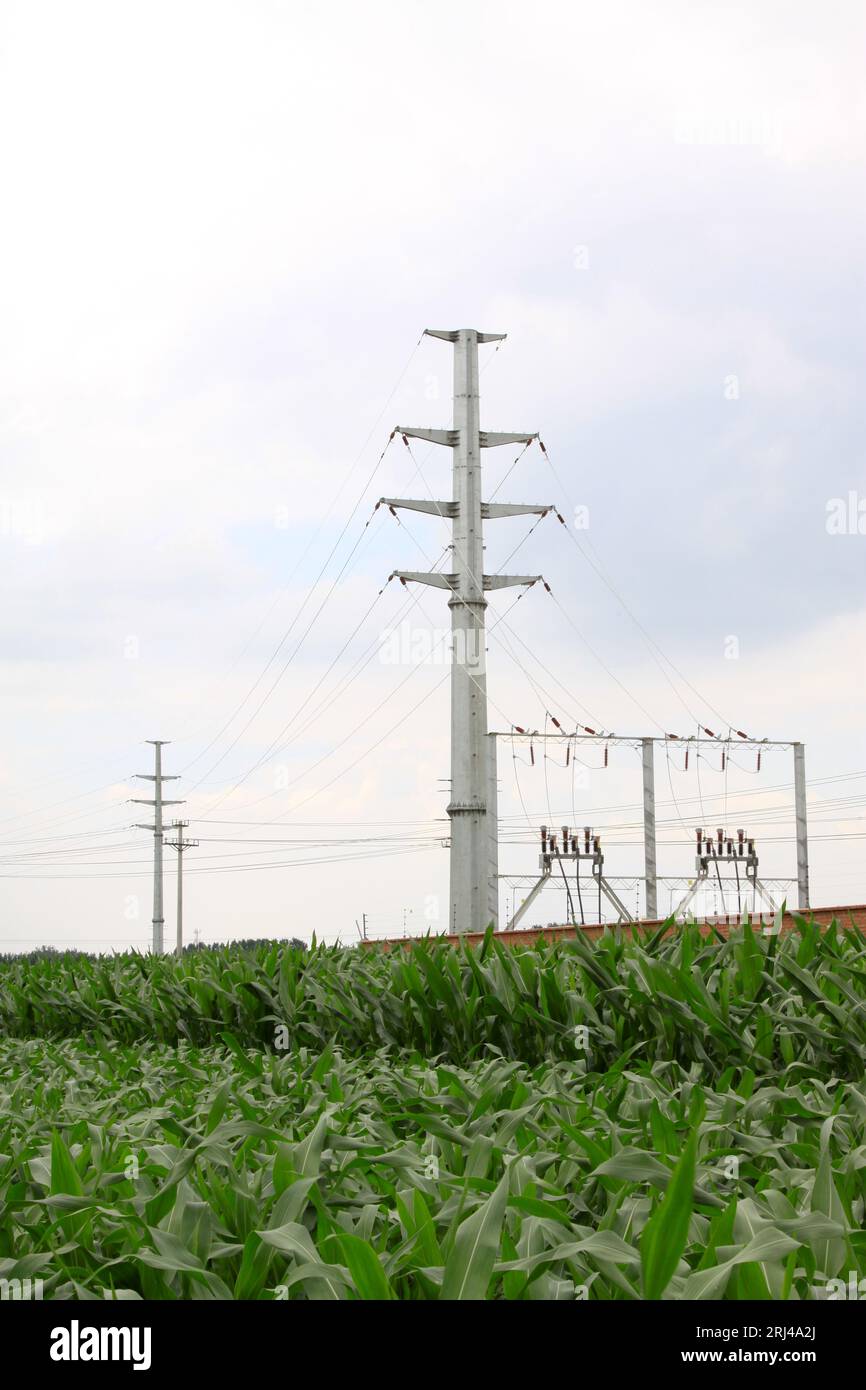 MaCheng July 12: High voltage power transmission lines in the green ...