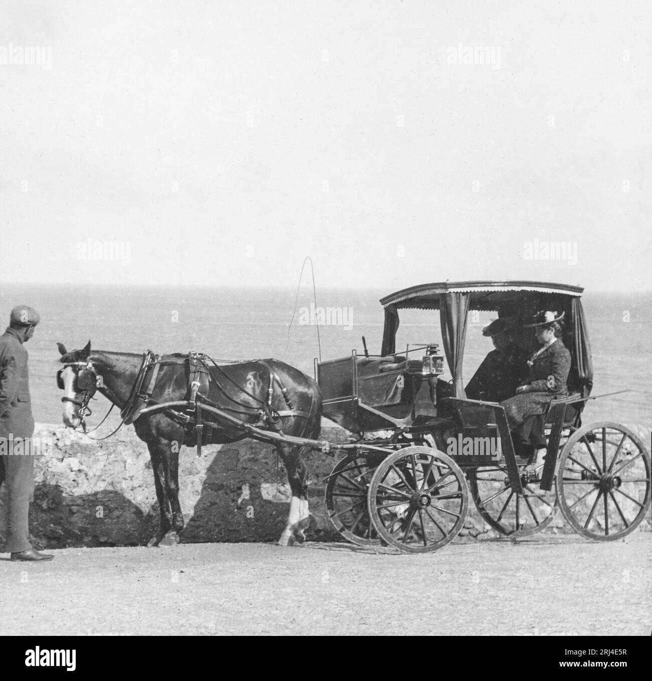 Early 1900s B&W photo two ladies in horse & carriage arriving at house Early 1900s B&W photo two ladies in horse & carriage arriving at house